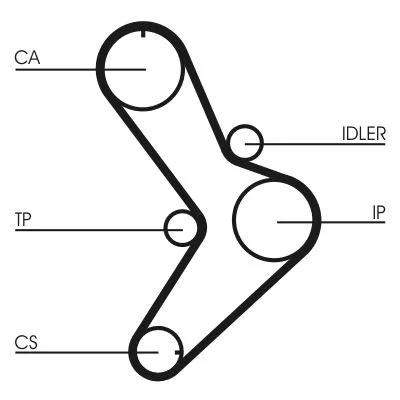 CONTINENTAL CTAM Timing Belt (CT731)