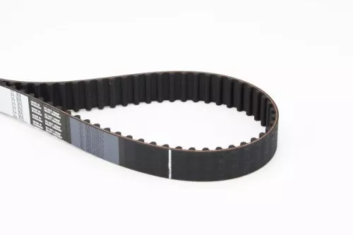 Timing Belt