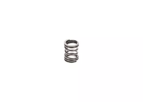 BOSCH Spring (2464633002)