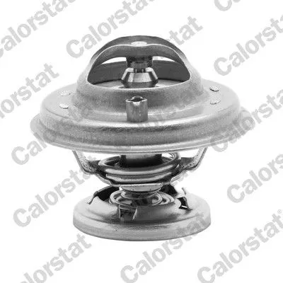 CALORSTAT by Vernet Thermostat, coolant (5699.80/J)