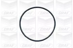 GRAF Water Pump, engine cooling (PA422)