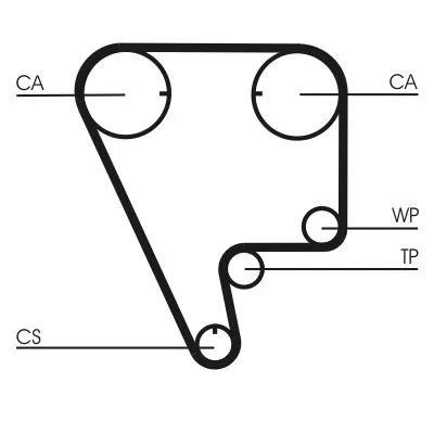 Timing Belt