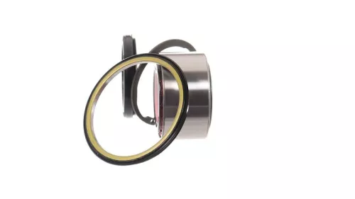 SKF Wheel Bearing Kit (VKBA3219)