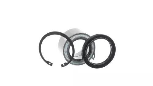 SKF Wheel Bearing Kit (VKBA3969)