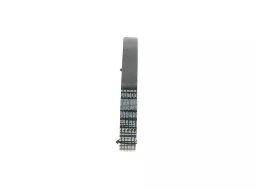 BOSCH V-ribbed Belt (1987946266)