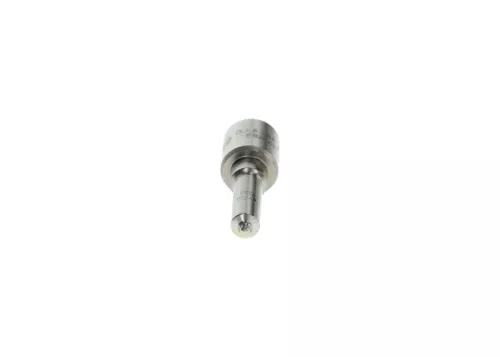 BOSCH Nozzle (0433171939)