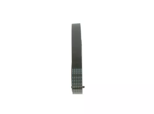 BOSCH V-ribbed Belt (1987947047)