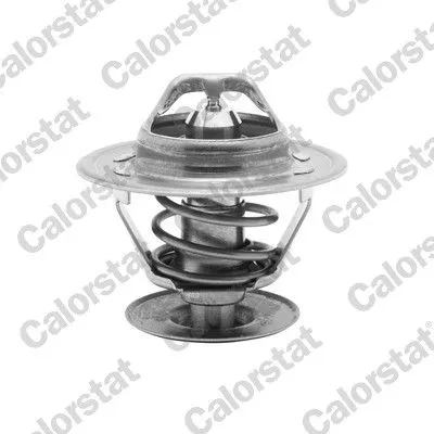 CALORSTAT by Vernet Thermostat, coolant (4561.87J)