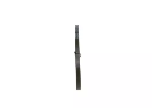 BOSCH V-Belt (1987948146)