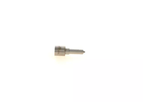 BOSCH Nozzle (0433171980)