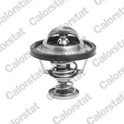 CALORSTAT by Vernet Thermostat, coolant (6295.88/J)