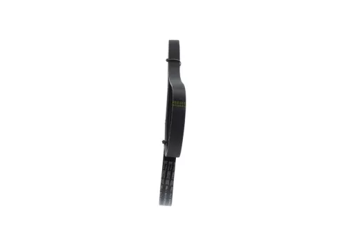 BOSCH V-ribbed Belt (1987946239)