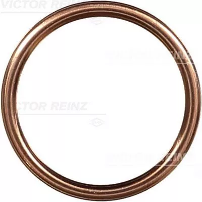 VICTOR REINZ Seal Ring, oil drain plug (41-72065-30)