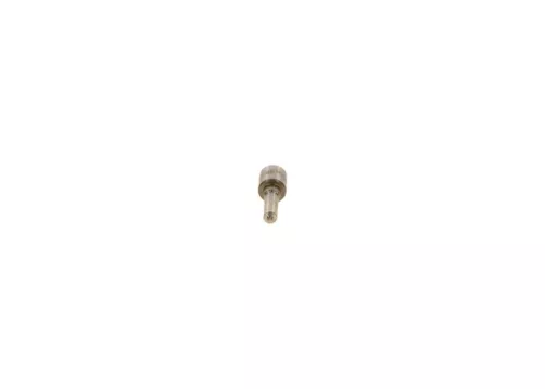 BOSCH Nozzle (0433172004)