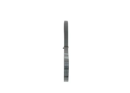 BOSCH V-ribbed Belt (1987946121)