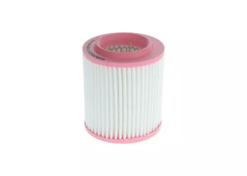 BOSCH Air Filter (F026400443)