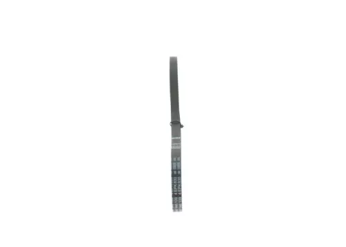 BOSCH V-ribbed Belt (1987946109)