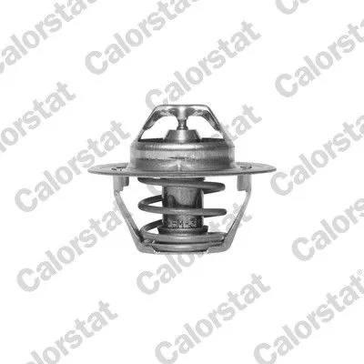 CALORSTAT by Vernet Thermostat, coolant (1378.88/J)