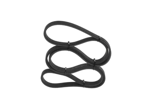BOSCH V-ribbed Belt (1987946216)
