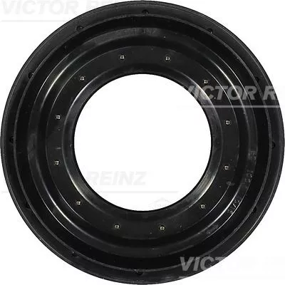 VICTOR REINZ Shaft Seal, differential (81-31377-00)