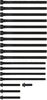 VICTOR REINZ Cylinder Head Bolt Set (14-10427-01)