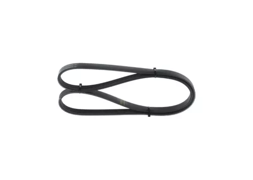 BOSCH V-ribbed Belt (1987948361)