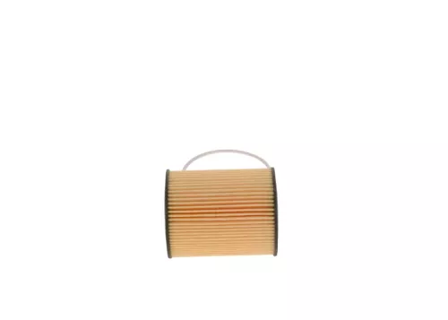 BOSCH Oil Filter (F026407075)