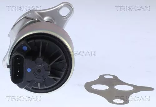 TRISCAN EGR Valve (881321001)