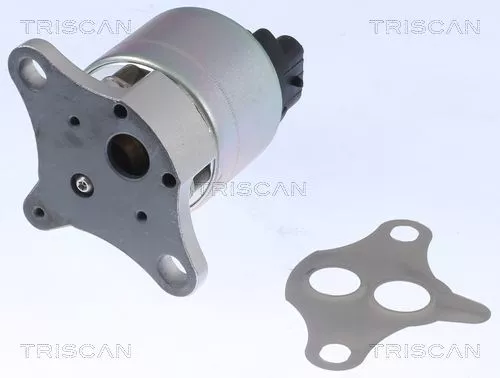 TRISCAN EGR Valve (881321001)
