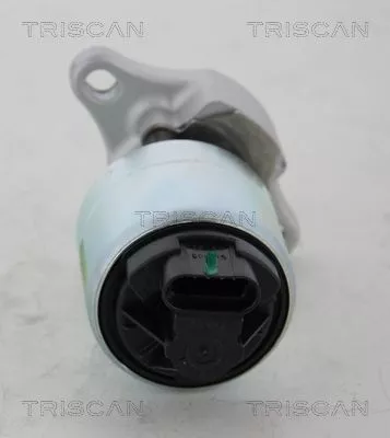 TRISCAN EGR Valve (881321001)