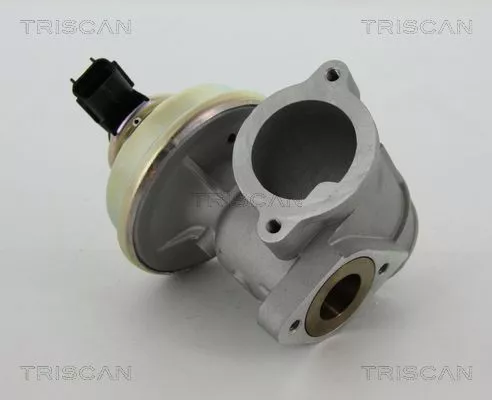 TRISCAN EGR Valve (881316102)