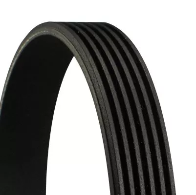 CONTINENTAL CTAM V-Ribbed Belt (6PK926EXTRA)
