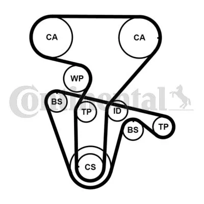 CONTINENTAL CTAM Water Pump & Timing Belt Kit (CT877WP4PRO)