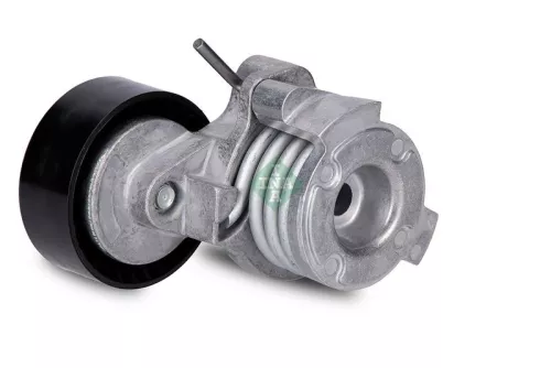 Schaeffler INA Timing Chain Kit (559006310)