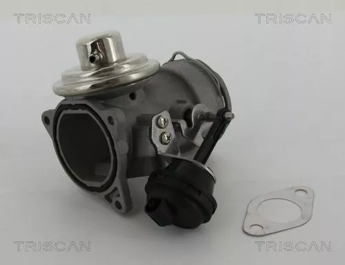 TRISCAN EGR Valve (881329036)