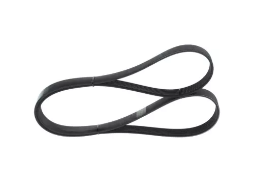 BOSCH V-Ribbed Belt (1987946254)