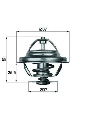 MAHLE Thermostat, coolant (TX2080D)