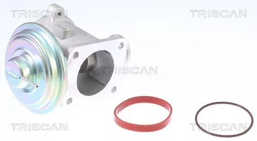 TRISCAN EGR Valve (881311003)