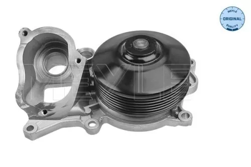 MEYLE Water Pump, engine cooling (3132200019)