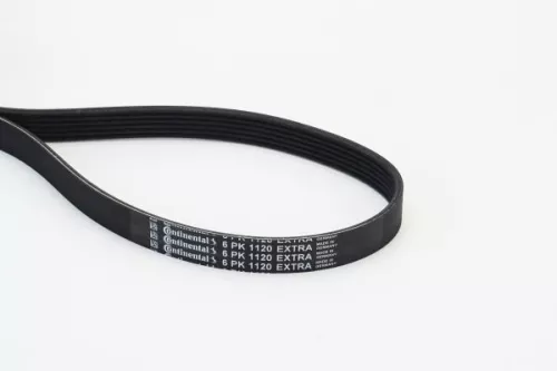 CONTINENTAL CTAM V-ribbed Belt (6PK1120EXTRA)