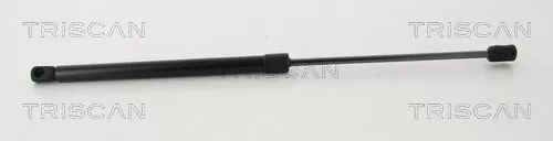 Gas Spring, boot/cargo area
