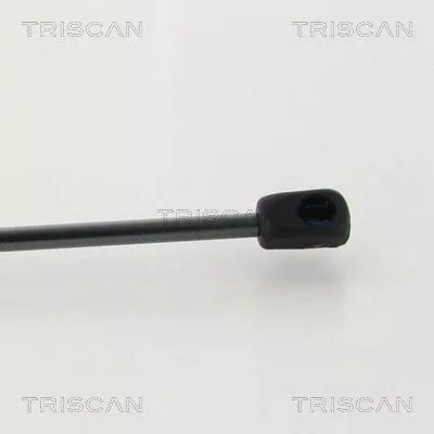 TRISCAN Gas Spring, boot/cargo area (8710292049)