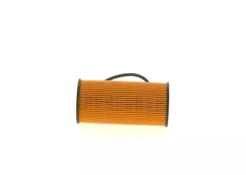 BOSCH Oil Filter (F026407088)