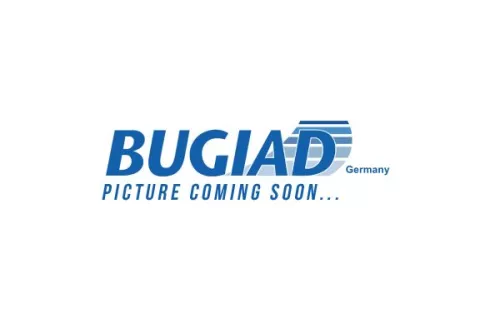 BUGIAD Steering Knuckle, wheel suspension (BSP25395PROKIT)