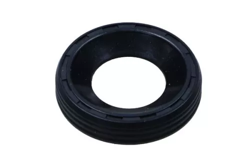 Seal, injector holder