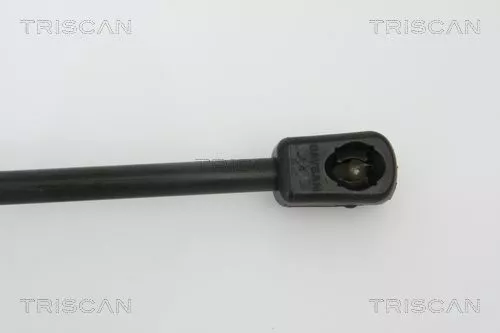 TRISCAN Gas Spring, boot/cargo area (871016239)