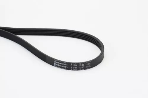 CONTINENTAL CTAM V-Ribbed Belt (5PK1245)
