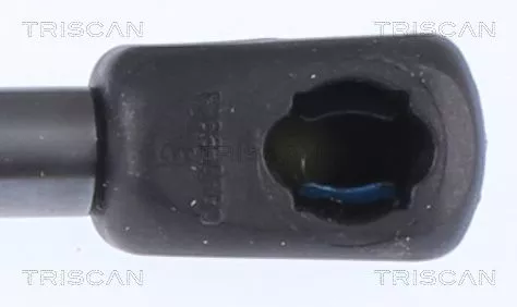TRISCAN Gas Spring, boot/cargo area (871016280)