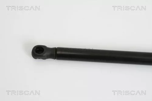 TRISCAN Gas Spring, boot/cargo area (871029279)
