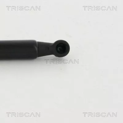 TRISCAN Gas Spring, boot/cargo area (8710292019)